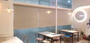 Privacy Korean Blinds